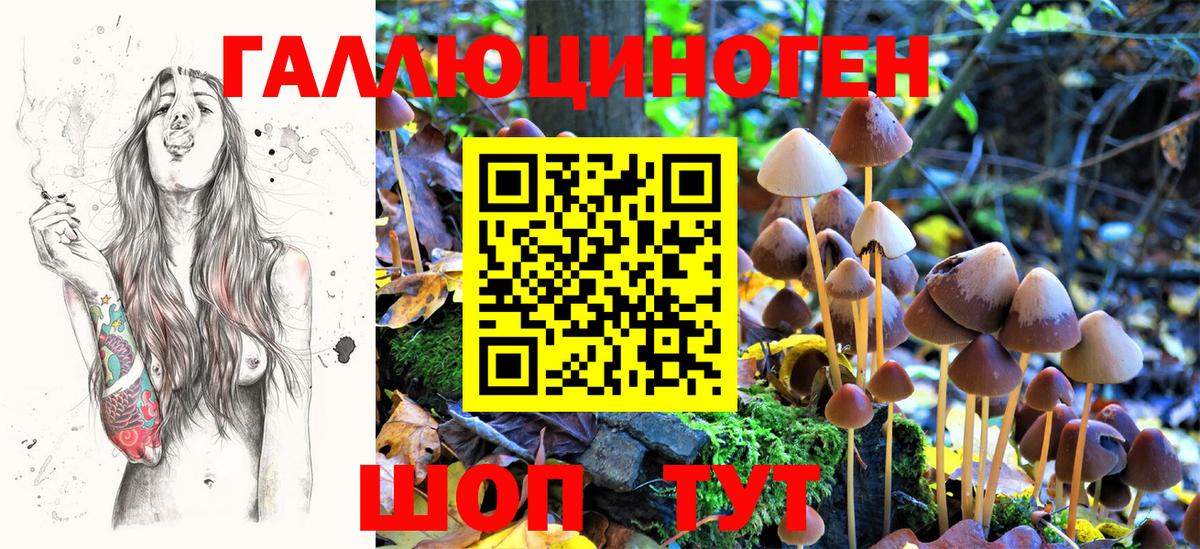 Новоуральск  Галлюциногенные грибы мицелий  Вход с VPN 